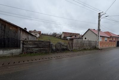 Spațiu comercial, în Păuca - 4