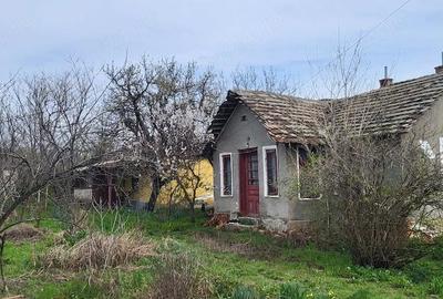 Casă cu Teren 2000 Mp în Plenița - 1