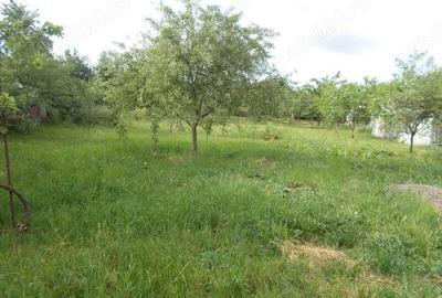 Casa, Sanandrei, 2 camere, teren 1340mp, gradina pomi, asfalt, utilitati, centrala gaz - 13