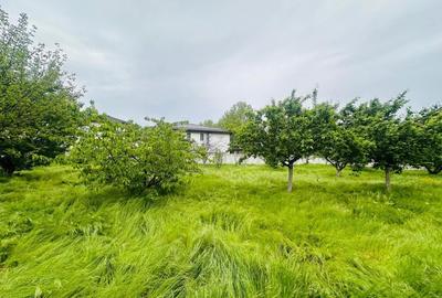 Vila multifuncionala de Mogosoaia Vila multifuncionala de Mogosoaia - 6