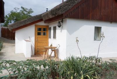 Delta Dunarii, Romania, localitatea LETEA, proprietate de VIS, - 6