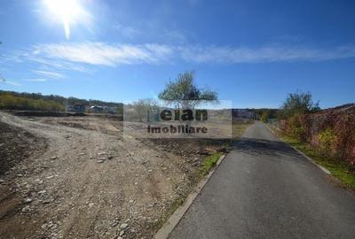 Snagov - Ciofliceni, Str Serban Cantacuzino 882 Mp, Asfalt, Utilitati Snagov - Ciofliceni, Str Serban Cantacuzino 882 Mp, Asfalt, Utilitati - 5