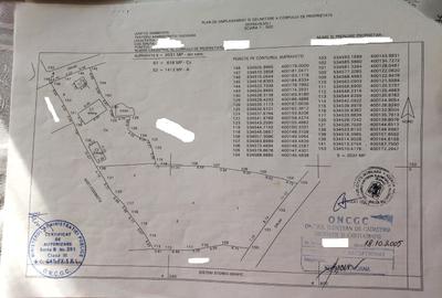 Teren 2031 mp, situat in Bela Dambovita, dubla deschidere, utilitati - 1