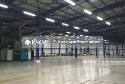 Spațiu comercial, de 4,500 mp, în Remetea Mare - 2