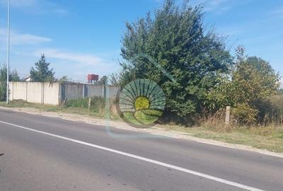 TEREN STUPINI BRASOV - 7