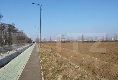 Teren 10000mp, 38ml deschidere, Berceni - 2