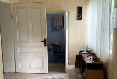 Casă cu 4 camere cu Teren 3113 Mp în Otelec - 10