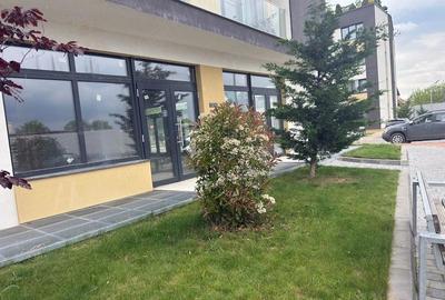 Spațiu comercial, de 159 mp, în Turnișor - 4