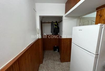 Inchiriere apartament 2 camere, mobilat si utilat, in zona Malu Rosu - 19