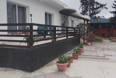 Spatiu comercial 420 mp, langa Termocentrala Mintia - 6