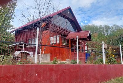 Casa de vacanta la 8 minute de sta?iunea Govora - 5