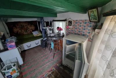 A 13. 20000 mp teren ?i 3 constructii casa in judetul Bacau - 4