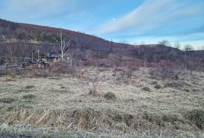 Teren intravilan 4640 mp, Piatra Neamt - 2
