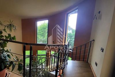 Casa individuala cu teren de 1431mp,zona Centrala Dumbravita Casa individuala cu teren de 1431mp,zona Centrala Dumbravita - 42