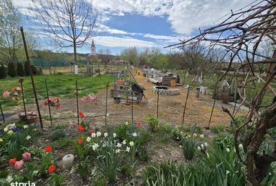 Casă cu 2 camere cu Teren 90 Mp în Belinț - 5