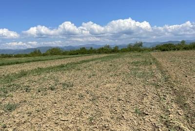 Teren la 13 KM de Baia Mare - 2