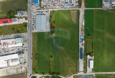 Teren Construcții intravilan de 8500 mp, în Griviței - 14