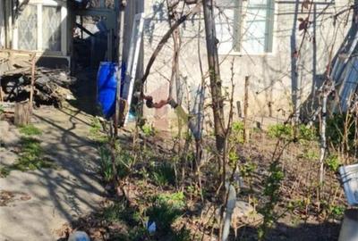 Spațiu comercial, în Brăilița