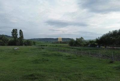 Teren de 3953 mp, în Fălticeni - 9