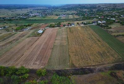 Spațiu comercial, în Deleni - 2
