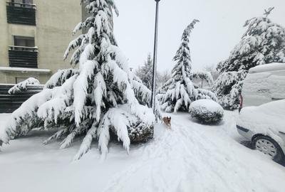 Apartament modern cu 3 camere în complexul Natura Residence - 2