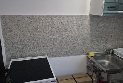 Casă cu 1 camere în Drumul Carului - 4