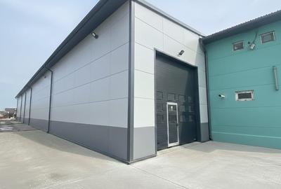 Spațiu industrial, în Jilava - 3