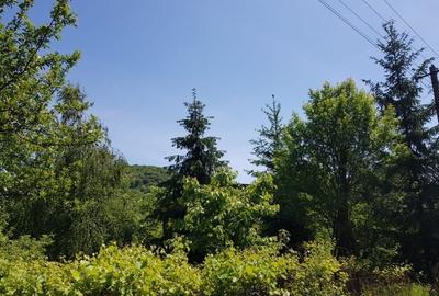 Teren Deva,zona Cabana Caprioara - 10