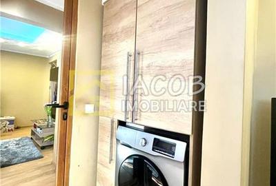 Apartament cu 3 camere semidecomandat, mobilat în Alecu Russo - 17