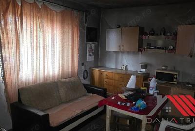 Topolova?u Mare Casa si Teren 1683 mp - 48.500 euro - 3