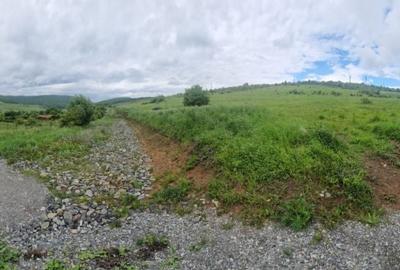 Teren de 903 mp, în Ciurila - 1