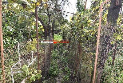 Casă cu 4 camere cu Teren 2066 Mp în Central - 12