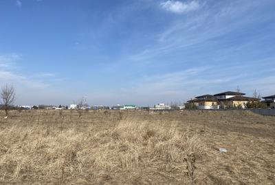 Pipera, Teren 1000  mp langa padure si Oxford Gardens Pipera, Teren 1000  mp langa padure si Oxford Gardens - 6