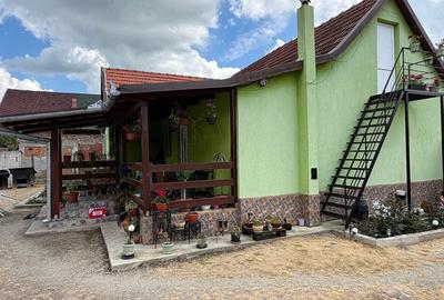 Casă cu 4 camere cu Teren 2200 Mp în Lugoj - 4