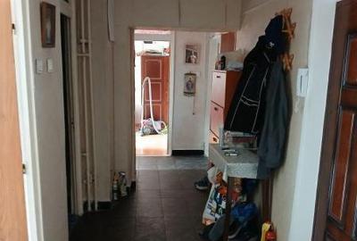 Apartament cu 3 camere decomandat, mobilat în Sebastian
