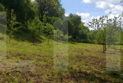 Teren de 2800 mp, în Micești - 7