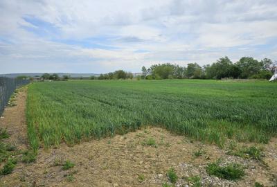 Teren de 1000 mp, în Central - 1