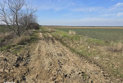 Teren de 22418 mp, în Calea Aradului - 7