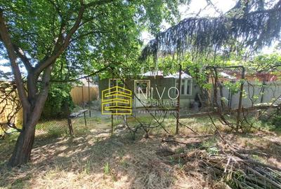 Casă cu 1 camere cu Teren 540 Mp în Mureșeni - 6