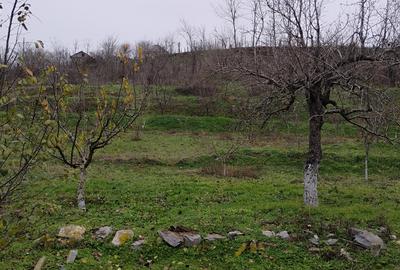 Vând casă batraneasca - 4