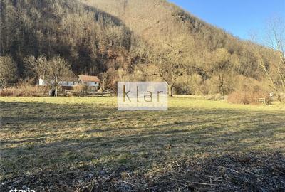 Teren de 1100 mp, în Gilău - 8