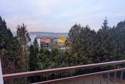 Casă individuală cu 9 camere cu Canalizare în Andrei Mureșanu - 17