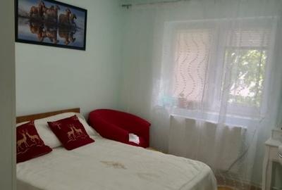 Apartament cu 2 camere semidecomandat, mobilat în 2 Moldoveni - 15