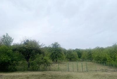 Casă cu 4 camere cu Teren 9000 Mp în Cornești (Gârbău) - 7