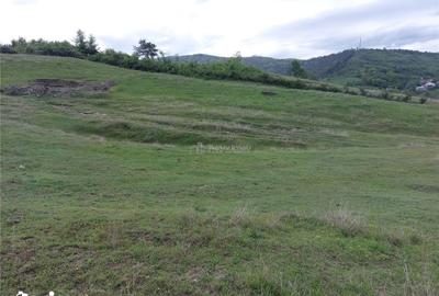 Teren de 10000 mp, în Pănătău - 5