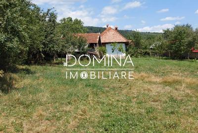 Casă cu 3 camere cu Teren 1583 Mp în Polovragi - 6