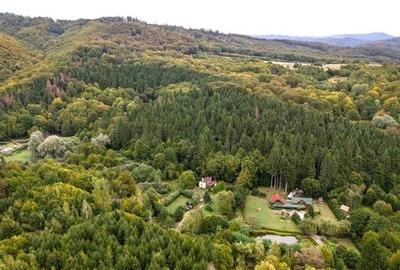 Tur 3D!Cabana de vacanta,zonare valoroasa, cu teren de 2.100 mp,Vladeni,Brasov - 13
