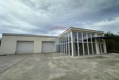 Spatiu industrial - strada Mihai Eminescu Spatiu industrial - strada Mihai Eminescu - 2