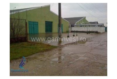 Spațiu comercial, de 1,200 mp, în Cefa - 1