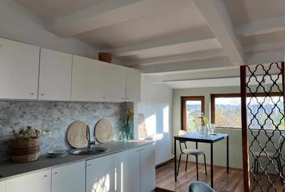 Apartament 4 camere | Iancu Nicolae | Zoo Baneasa - 4